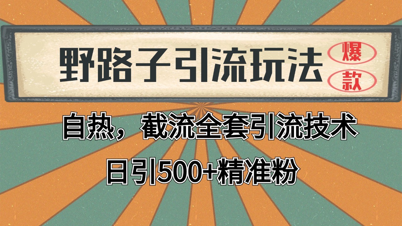 抖音小红书视频号全平台引流打法，全自动引流日引2000+精准客户-副业网创