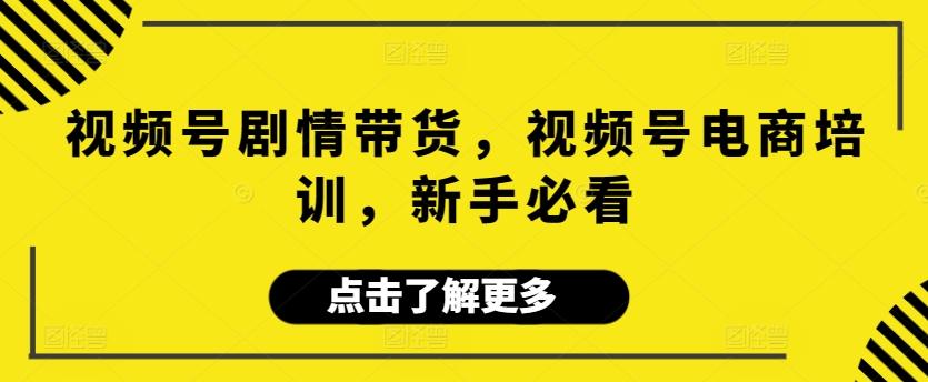 视频号剧情带货，视频号电商培训，新手必看-副业网创