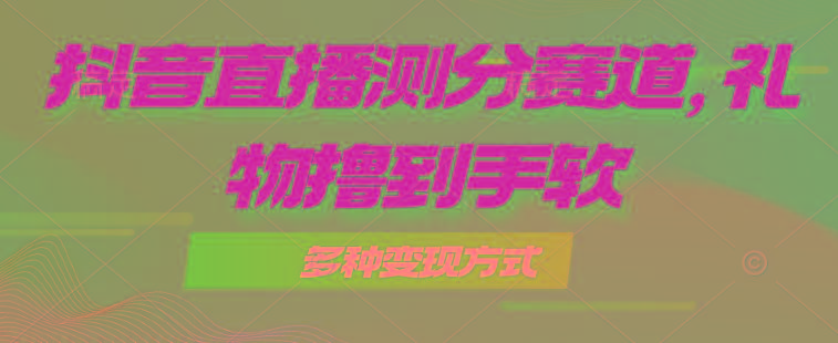 抖音直播测分赛道，多种变现方式，轻松日入1000+-副业网创