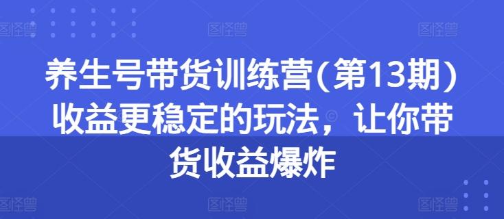 养生号带货训练营(第13期)收益更稳定的玩法，让你带货收益爆炸-副业网创