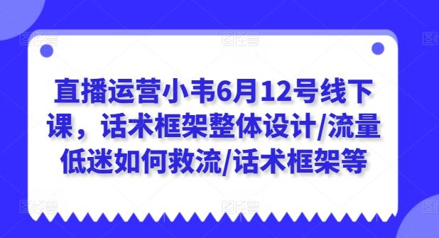 直播运营小韦6月12号线下课，话术框架整体设计/流量低迷如何救流/话术框架等-副业网创