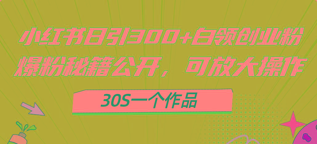 小红书日引300+高质白领创业粉，可放大操作，爆粉秘籍！30s一个作品-副业网创