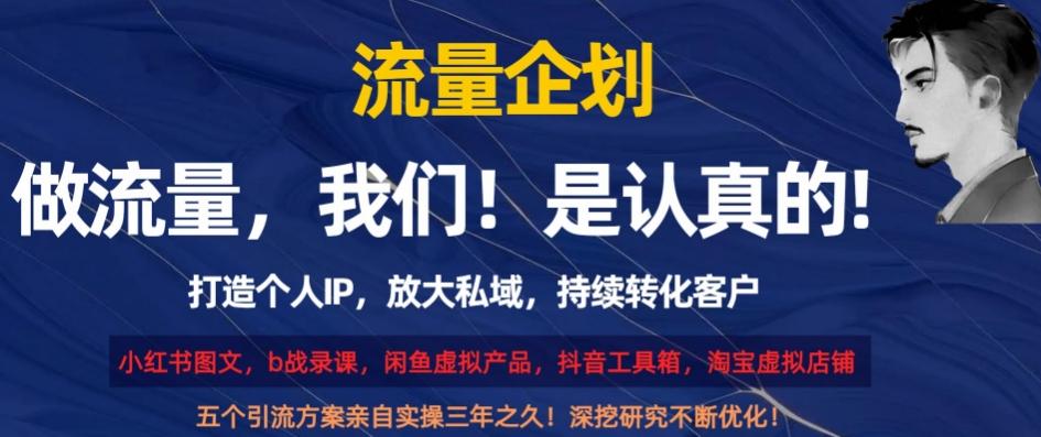 流量企划，打造个人IP，放大私域，持续转化客户【揭秘】-副业网创