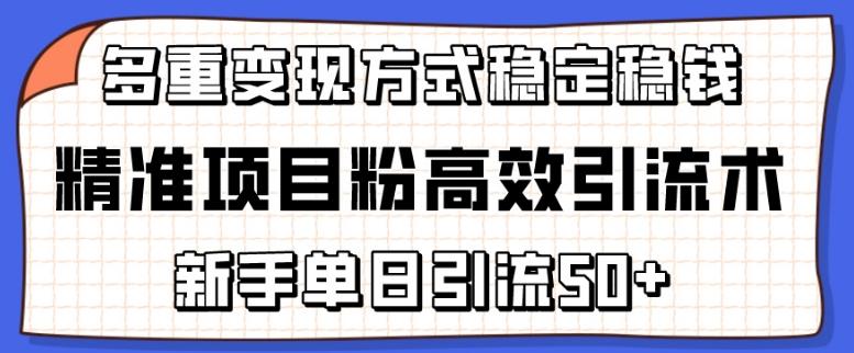 精准项目粉高效引流术，新手单日引流50+，多重变现方式稳定赚钱【揭秘】-副业网创
