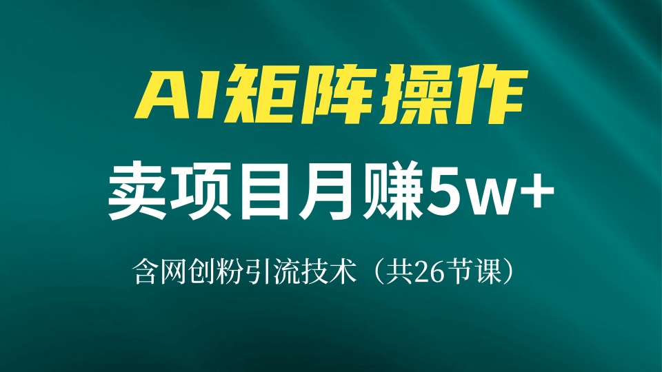 网创IP打造课，借助AI卖项目月赚5万+，含引流技术(共26节课-副业网创