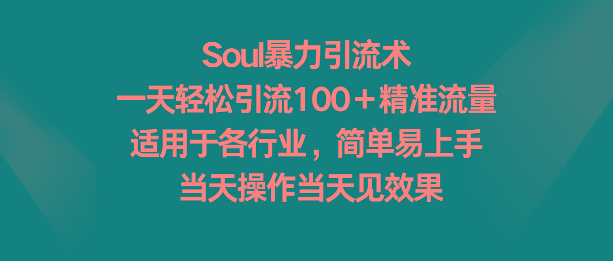 Soul暴力引流术，一天轻松引流100＋精准流量，适用于各行业，简单易上手！-副业网创