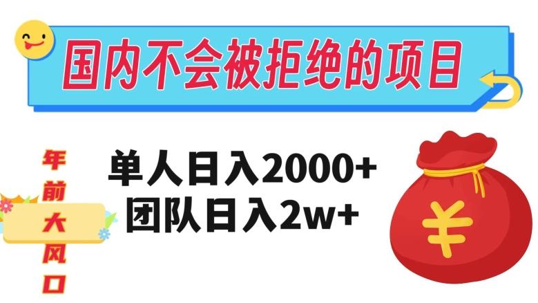 在国内不怕被拒绝的项目，单人日入2000，团队日入20000+【揭秘】-副业网创