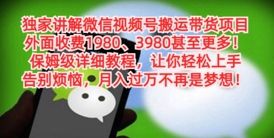 独家讲解微信视频号搬运带货项目，保姆级详细教程-副业网创