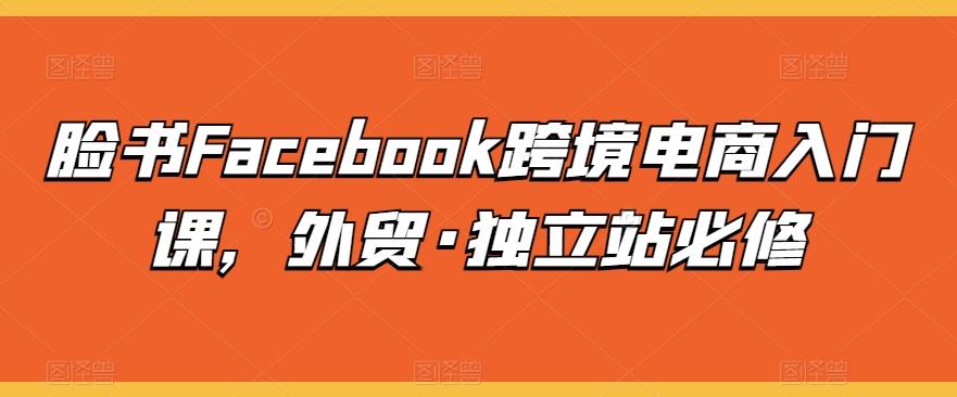 脸书Facebook跨境电商入门课，外贸·独立站必修-副业网创