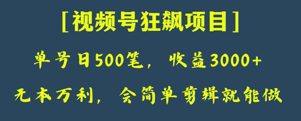 日收款500笔，纯利润3000+，视频号狂飙项目，会简单剪辑就能做【揭秘】-副业网创