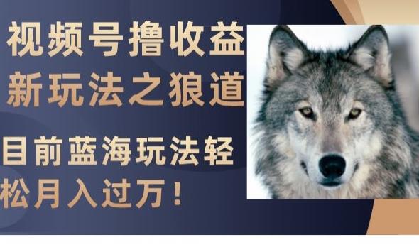 视频号撸收益新玩法之狼道，目前蓝海玩法，轻松月入过万【揭秘】-副业网创
