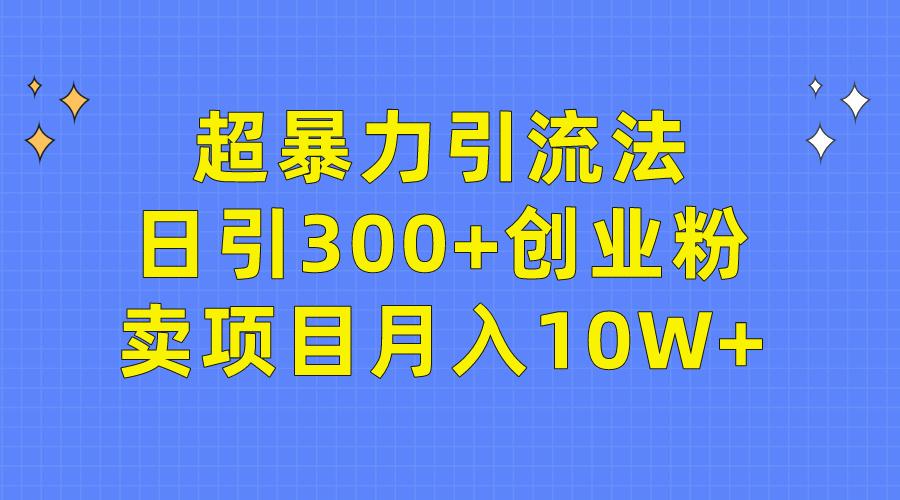 (9954期)超暴力引流法，日引300+创业粉，卖项目月入10W+-副业网创