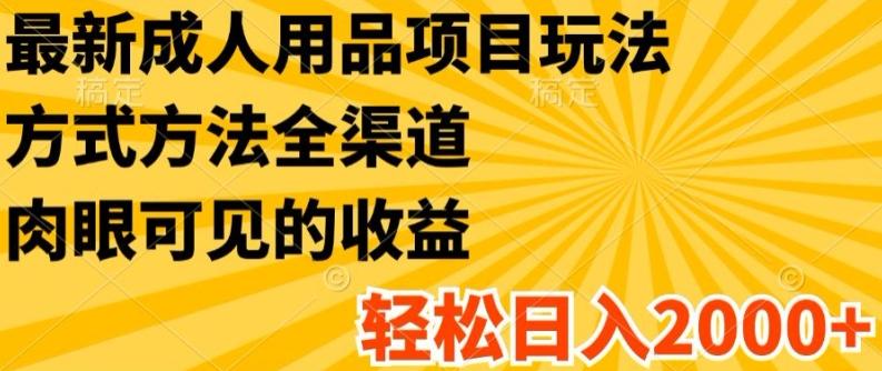 最新成人用品项目玩法，方式方法全渠道，轻松日入2K+【揭秘】-副业网创