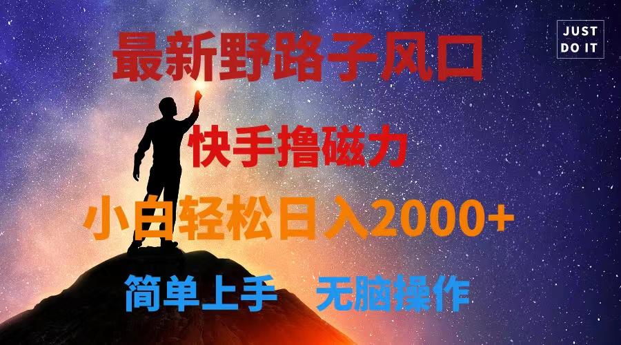 最新风口！快手撸磁力，野路子，小白无脑操作日入2000+-副业网创