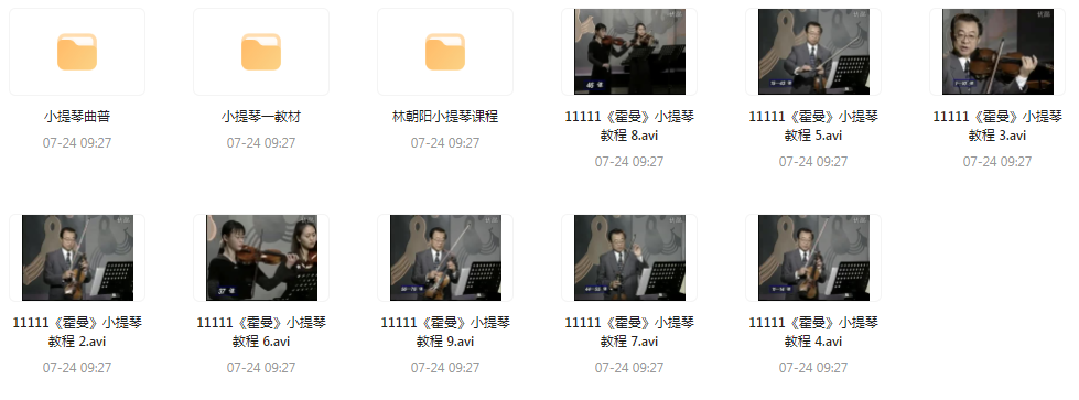 霍曼小提琴教学视频-副业网创