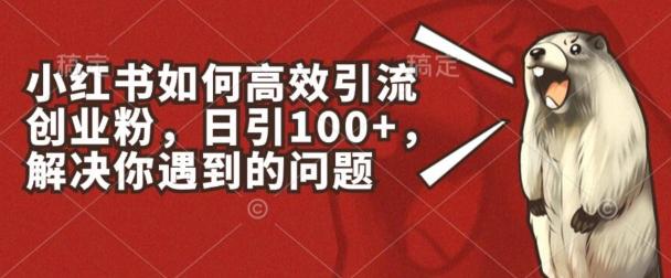 小红书如何高效引流创业粉，日引100+，解决你遇到的问题【揭秘】-副业网创