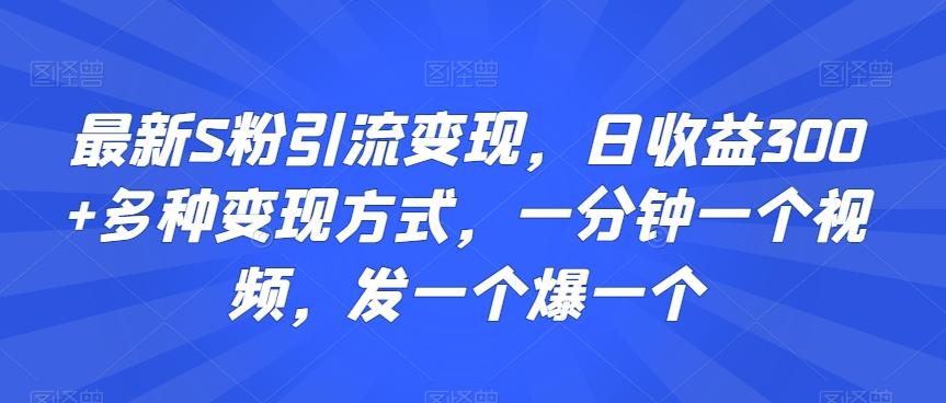 最新S粉引流变现，日收益300+多种变现方式，一分钟一个视频，发一个爆一个【揭秘】-副业网创