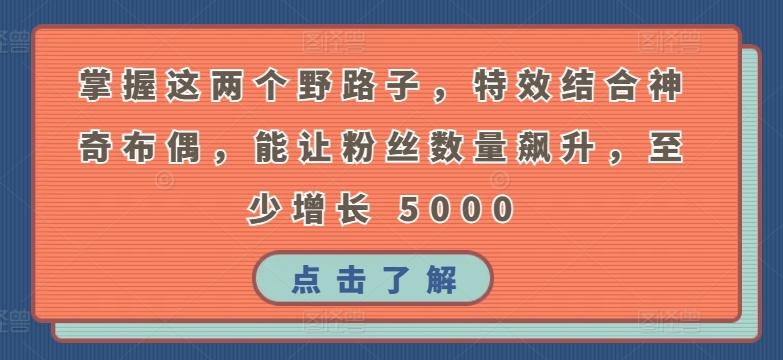 掌握这两个野路子，特效结合神奇布偶，能让粉丝数量飙升，至少增长 5000【揭秘】-副业网创