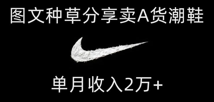 靠图文种草分享卖A货潮鞋，每天一小时，单月收入2万+【揭秘】-副业网创