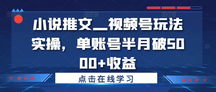 小说推文—视频号玩法实操，单账号半月破5000+收益-副业网创
