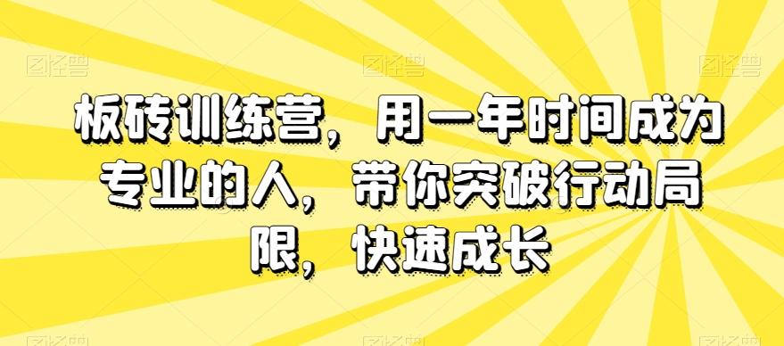 板砖训练营，用一年时间成为专业的人，带你突破行动局限，快速成长-副业网创