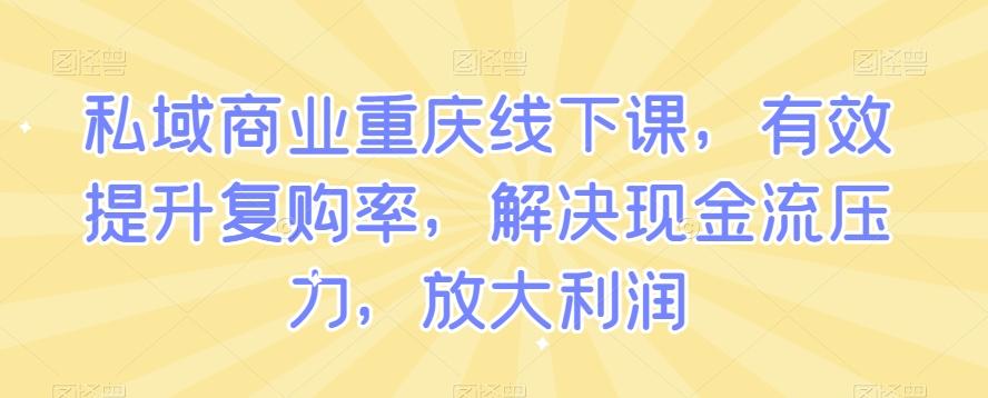 私域商业重庆线下课，有效提升复购率，解决现金流压力，放大利润-副业网创