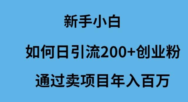 (9668期)新手小白如何日引流200+创业粉通过卖项目年入百万-副业网创