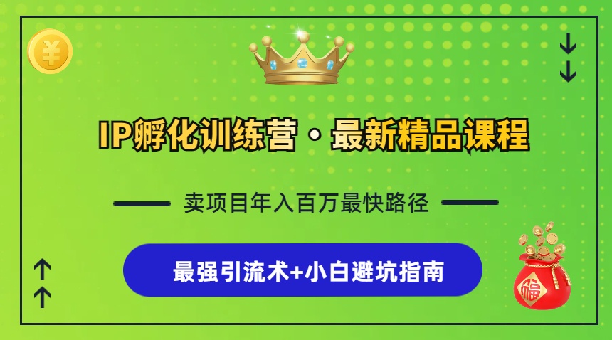 IP孵化训练营，知识付费全流程+最强引流术+小白避坑指南-副业网创