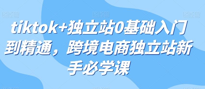 tiktok+独立站0基础入门到精通，跨境电商独立站新手必学课-副业网创