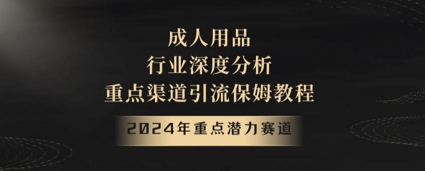 2024年重点潜力赛道，成人用品行业深度分析，重点渠道引流保姆教程【揭秘】-副业网创