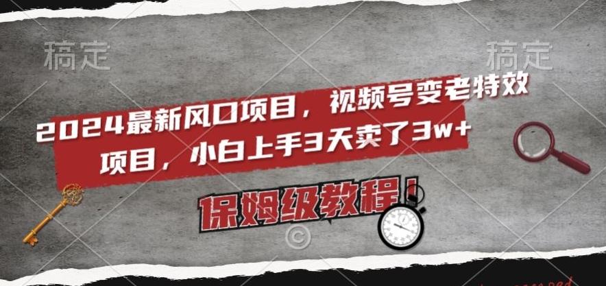 2024最新风口项目，视频号变老特效项目，电脑小白上手3天卖了3w+，保姆级教程【揭秘】-副业网创