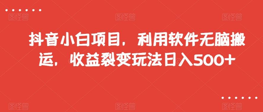 抖音小白项目，利用软件无脑搬运，收益裂变玩法日入500+【揭秘】-副业网创