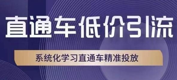 直通车低价引流课，系统化学习直通车精准投放-副业网创