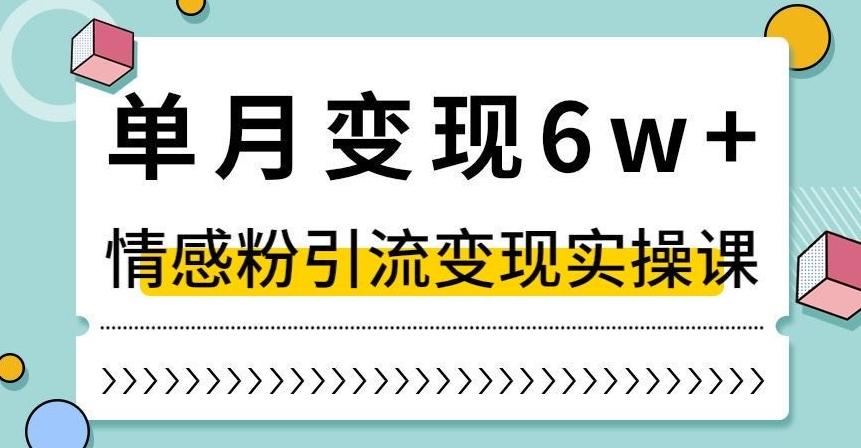 单月变现6W+，抖音情感粉引流变现实操课，小白可做，轻松上手，独家赛道【揭秘】-副业网创