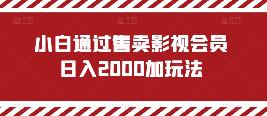 小白通过售卖影视会员日入2000加玩法-副业网创