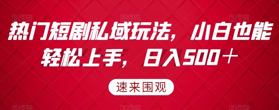热门短剧私域玩法，小白也能轻松上手，日入500＋-副业网创