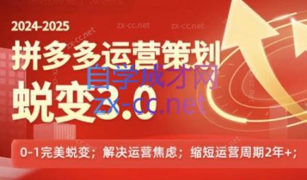 大力老师·2024拼多多运营策略蜕变3.0-副业网创