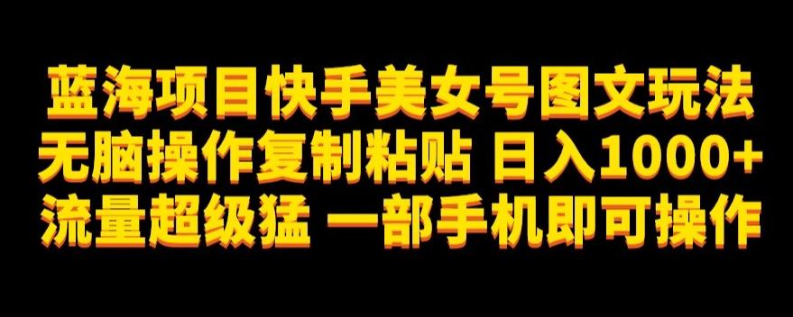 蓝海项目快手美女号图文玩法，无脑操作复制粘贴，日入1000+流量超级猛一部手机即可操作【揭秘】-副业网创
