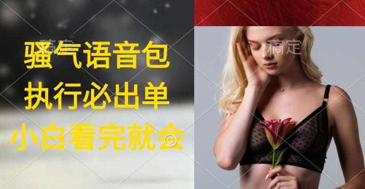 (9589期)执行就出单，日入2000+，超火骚气语音包，小白看完课程就能马上实操-副业网创