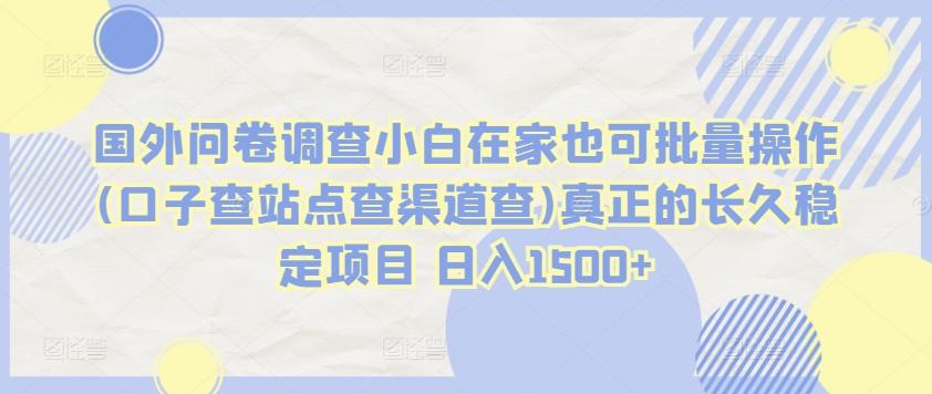 国外问卷调查小白在家也可批量操作(口子查站点查渠道查)真正的长久稳定项目 日入1500+【揭秘】-副业网创