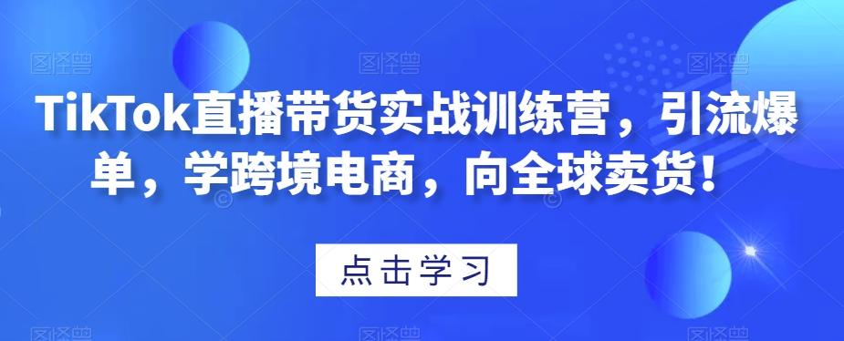 TikTok直播带货实战训练营，引流爆单，学跨境电商，向全球卖货！-副业网创