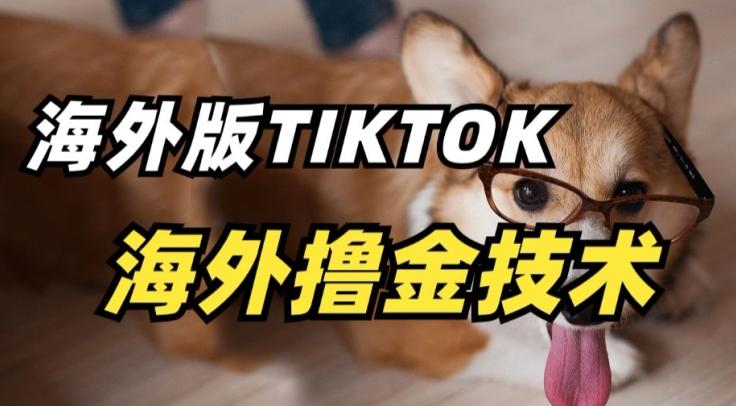 抖音海外版tiktok撸金技术，这个风口行业，赚钱真的不难【揭秘】-副业网创