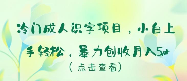 冷门成人识字项目，小白上手轻松，暴力创收月入5w+【揭秘】-副业网创