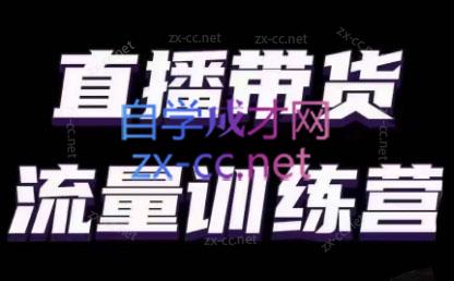 婉婉·直播带货课程系列合集(更新8月)-副业网创