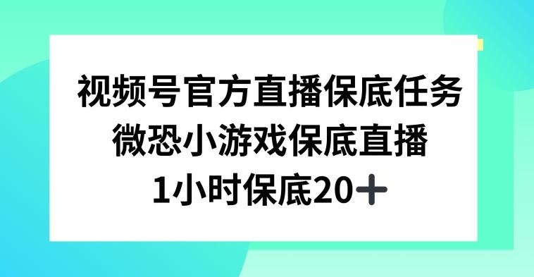 视频号直播任务，微恐小游戏，1小时20+【揭秘】-副业网创