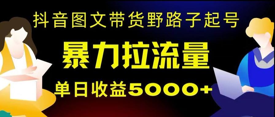 抖音图文带货暴力起号，单日收益5000+，野路子玩法，简单易上手，一部手机即可【揭秘】-副业网创