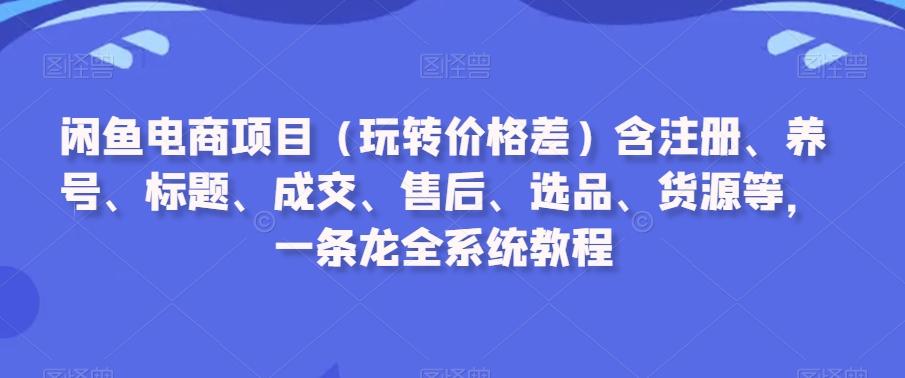 闲鱼电商项目(玩转价格差)含注册、养号、标题、成交、售后、选品、货源等，一条龙全系统教程-副业网创