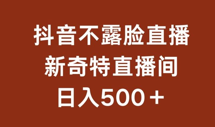 不露脸挂机直播，新奇特直播间，日入500+【揭秘】-副业网创