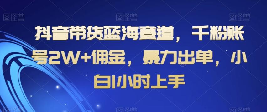 抖音带货蓝海赛道，千粉账号2W+佣金，暴力出单，小白1小时上手【揭秘】-副业网创