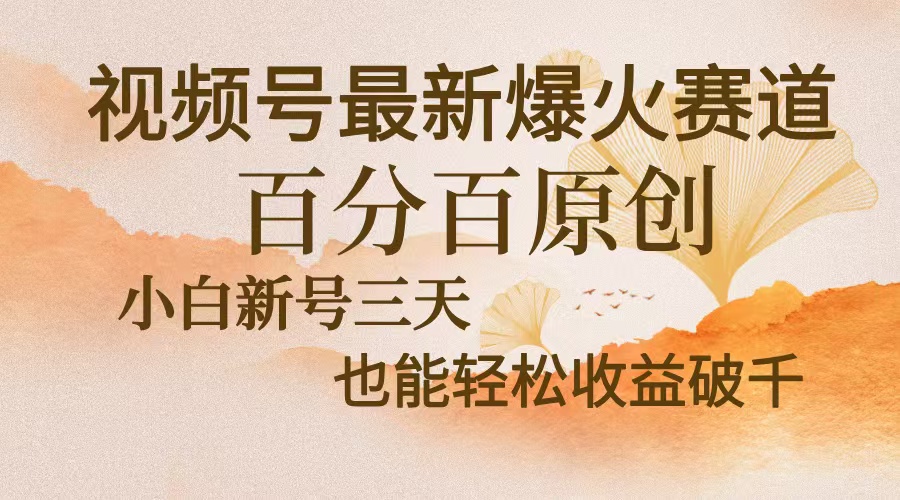 视频号最新爆火赛道，中老年粉深信不疑，百分百原创，新号三天收益轻松…-副业网创